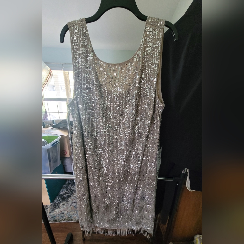 Brand new silver beaded dress. Adrianna Papell brand. 22w,never worn or altered.